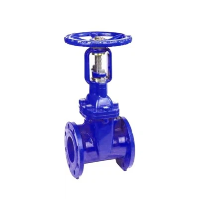 رائزنگ اسٹیم کاپر کور پروٹیکٹیو گیٹ والو